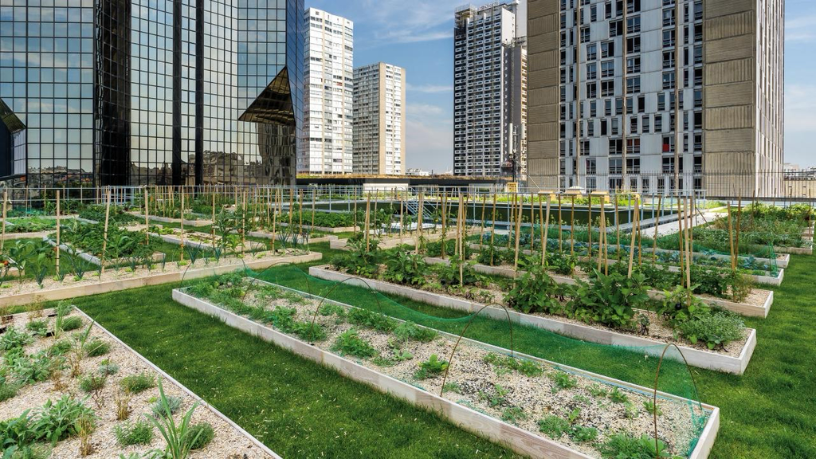 Aldo Vendramin mostra como a agricultura urbana pode reinventar nossas metrópoles.