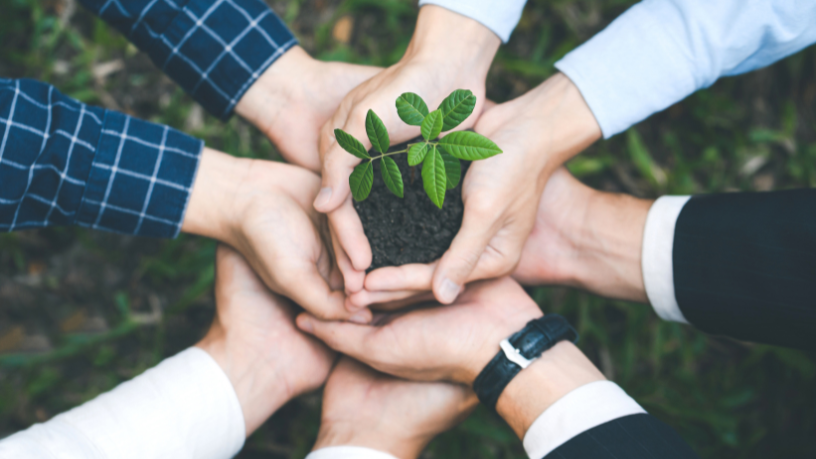 Com foco em sustentabilidade e cidadania, Versa Engenharia Ambiental Ltda incentiva comunidades a cultivar um futuro mais consciente e verde.