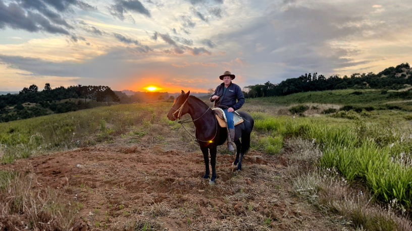 Finanças comportamentais: Entenda como a emoção sabota seu planejamento Altevir Seidel revela como as emoções podem sabotar o planejamento financeiro e impactar suas decisões.