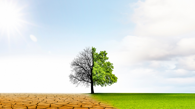 Para Gustavo Morceli, integrar educação e tecnologia climática é decisivo para antecipar riscos, reduzir impactos e salvar vidas em contextos socioambientais cada vez mais complexos.