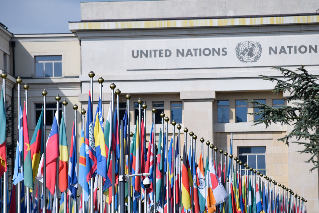Brasil garantirá novo mandato no Conselho de Direitos Humanos da ONU entre 2027 e 2029 Bandeiras de diversos países diante do escritório das Nações Unidas em Genebra